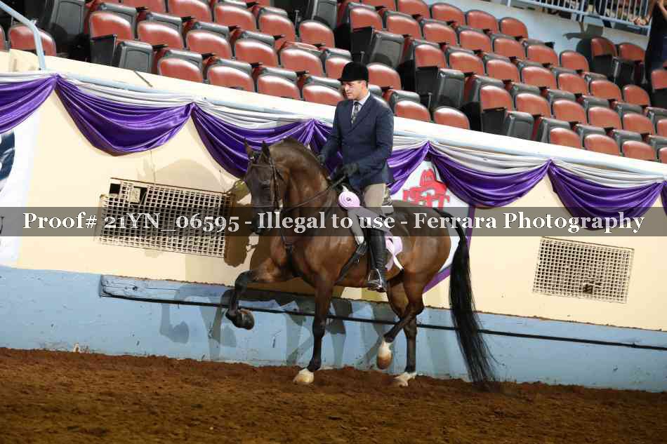 Proof 21YN_06595