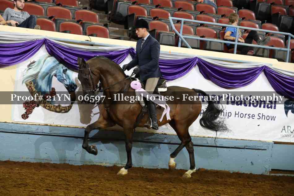 Proof 21YN_06597