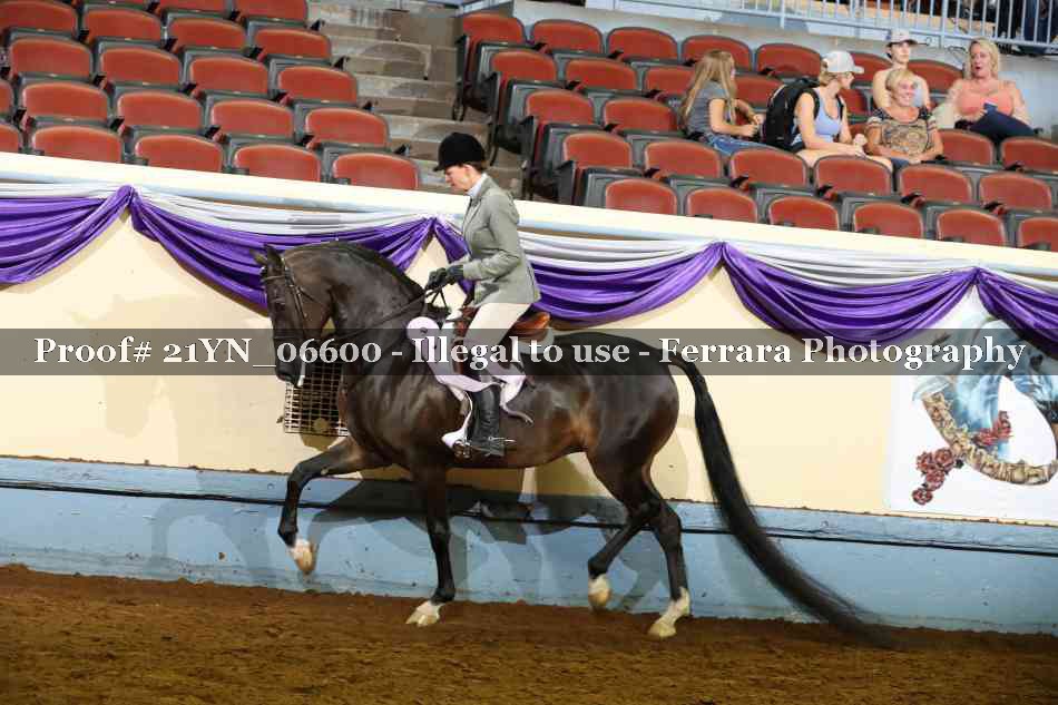 Proof 21YN_06600