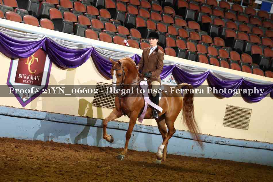 Proof 21YN_06602