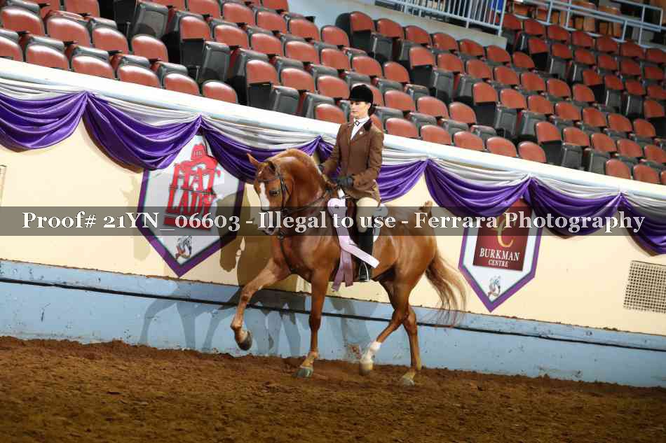 Proof 21YN_06603