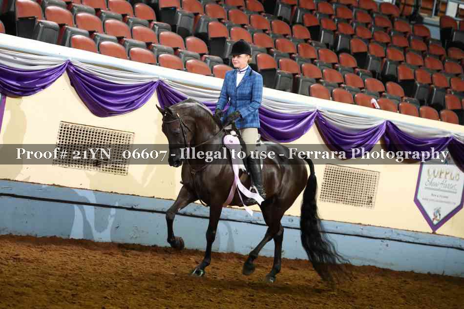 Proof 21YN_06607