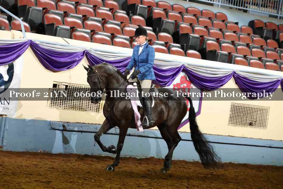 Proof 21YN_06608