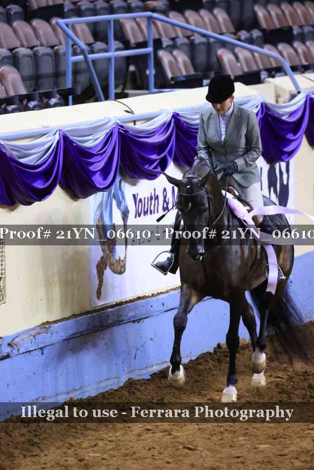 Proof 21YN_06610