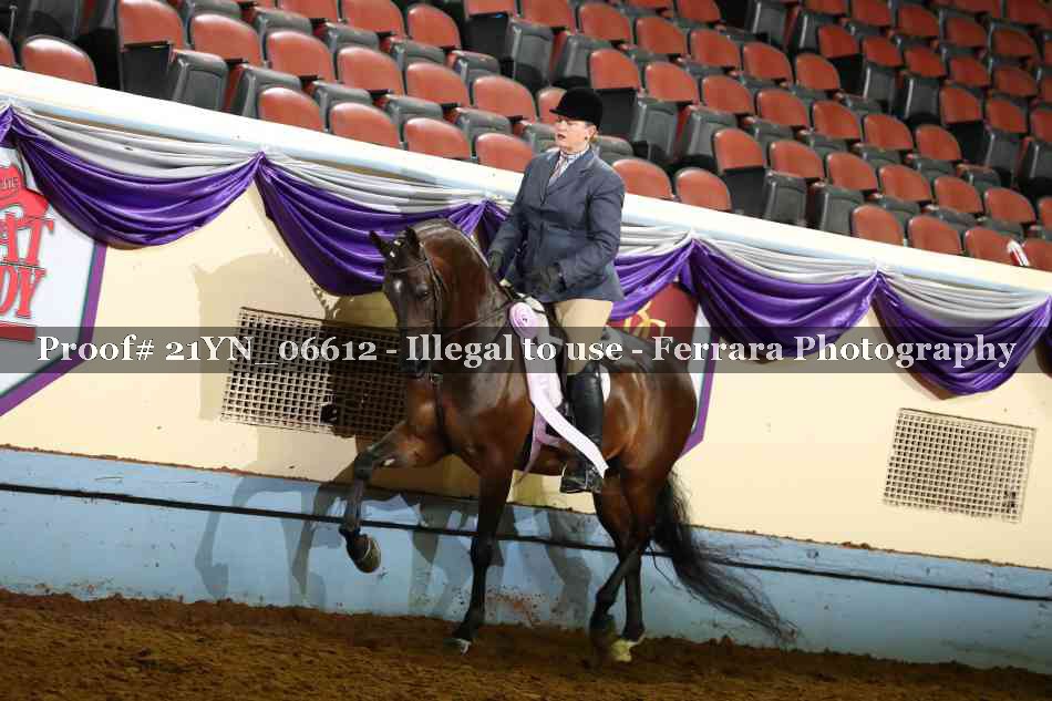Proof 21YN_06612