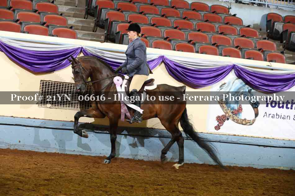 Proof 21YN_06616