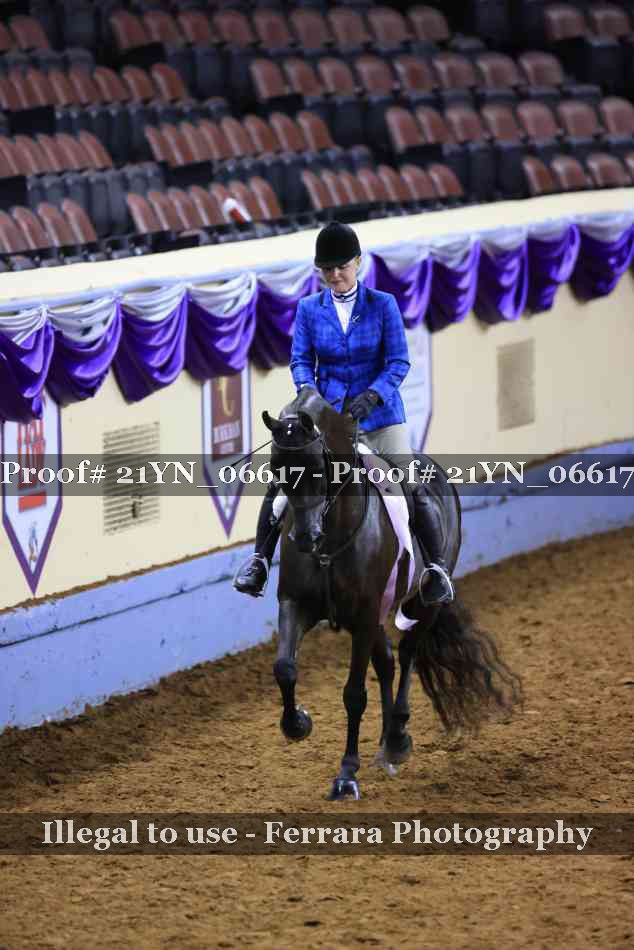 Proof 21YN_06617