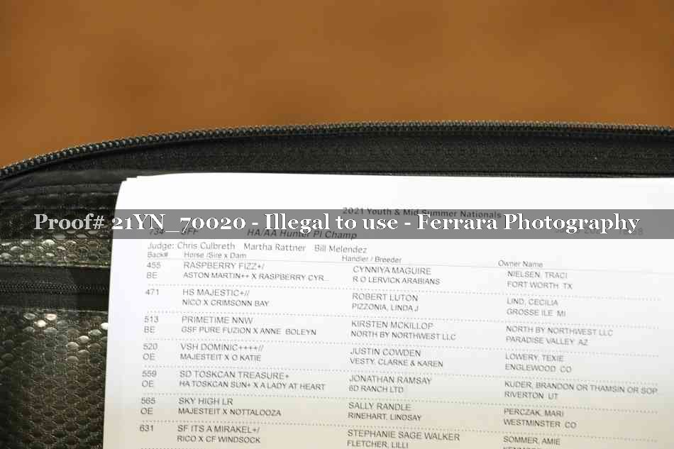 Proof 21YN_70020