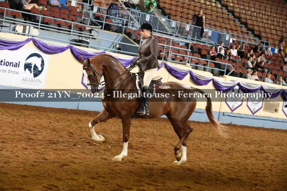 Proof 21YN_70024