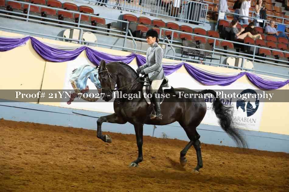 Proof 21YN_70027