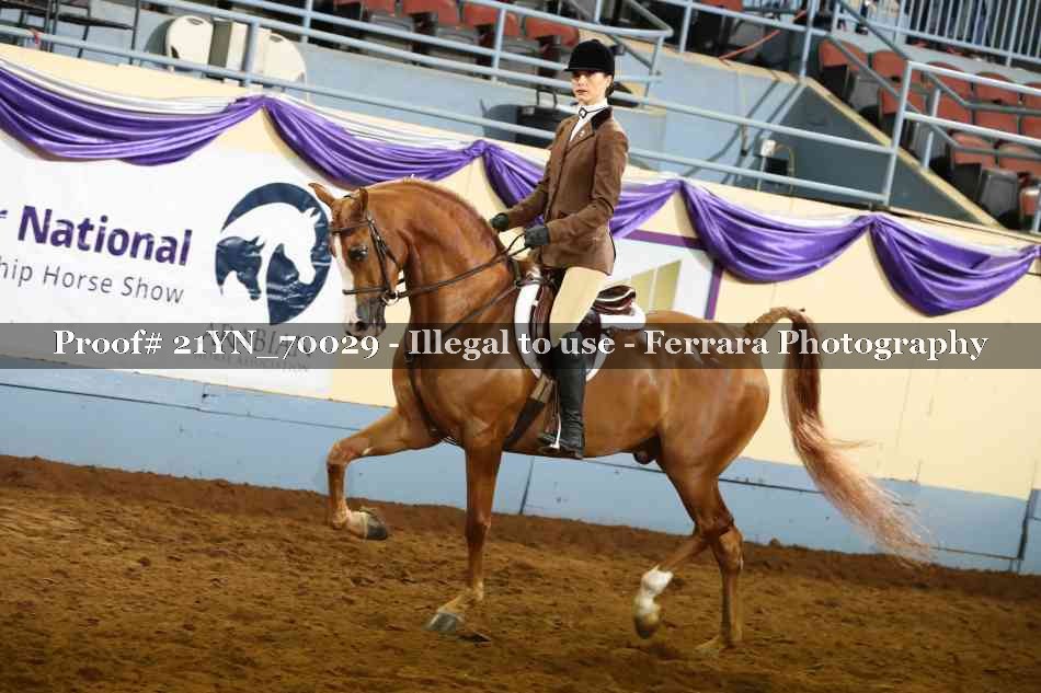 Proof 21YN_70029
