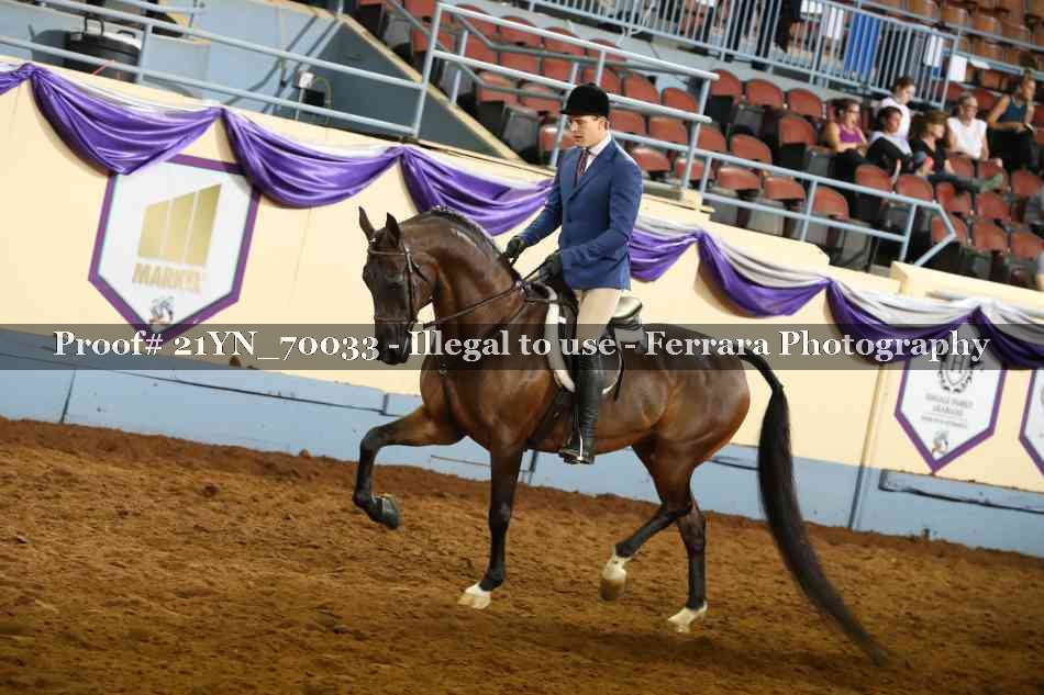 Proof 21YN_70033
