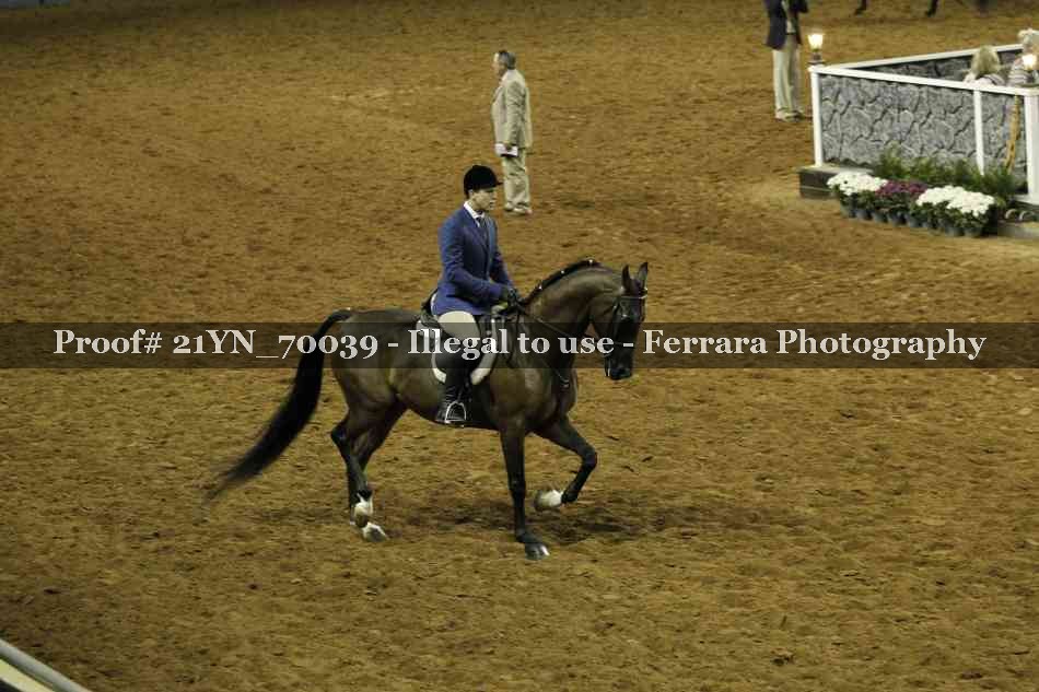 Proof 21YN_70039
