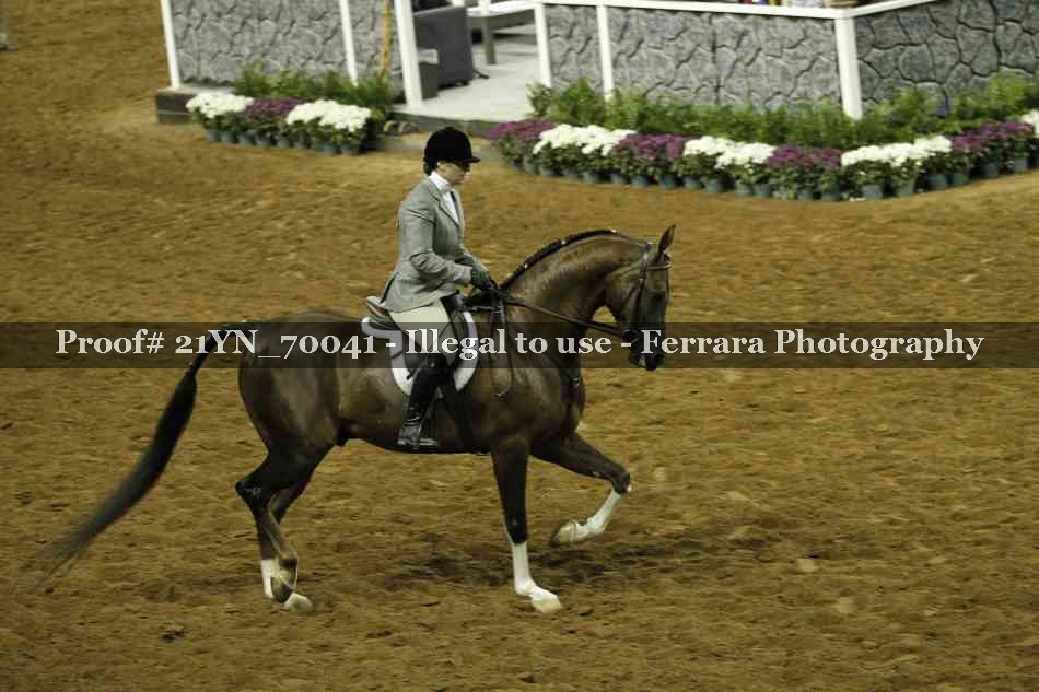 Proof 21YN_70041