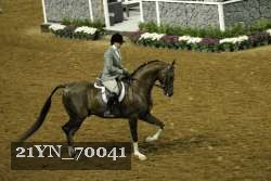21YN_70041 proof