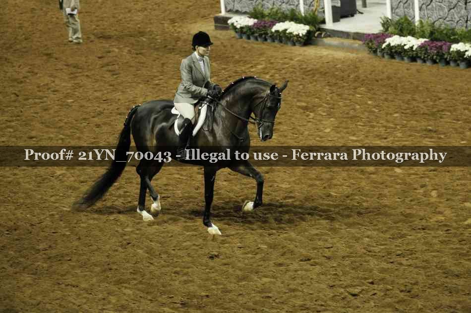 Proof 21YN_70043