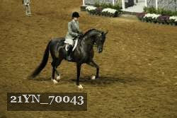 21YN_70043 proof