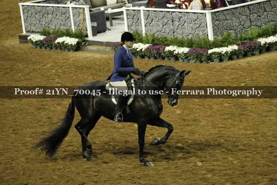 Proof 21YN_70045