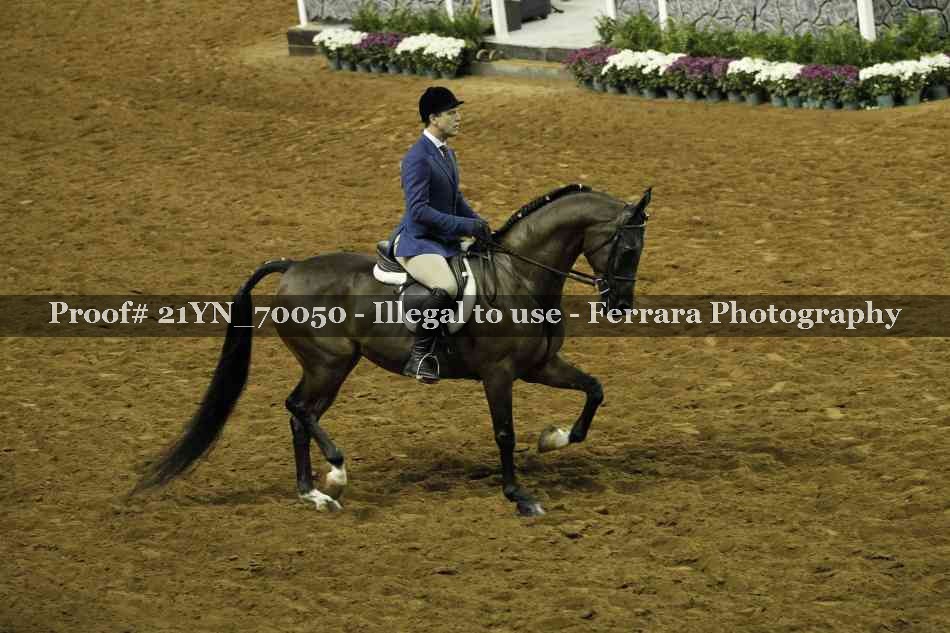 Proof 21YN_70050