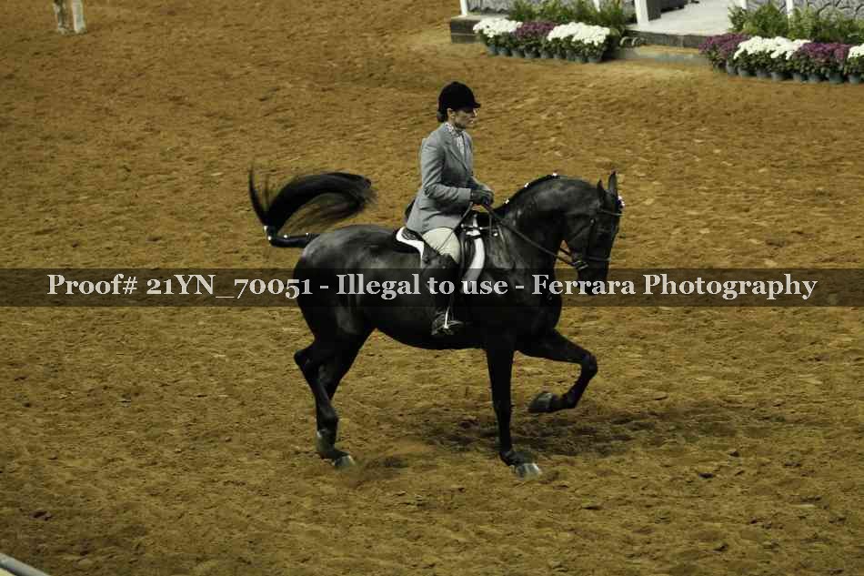 Proof 21YN_70051
