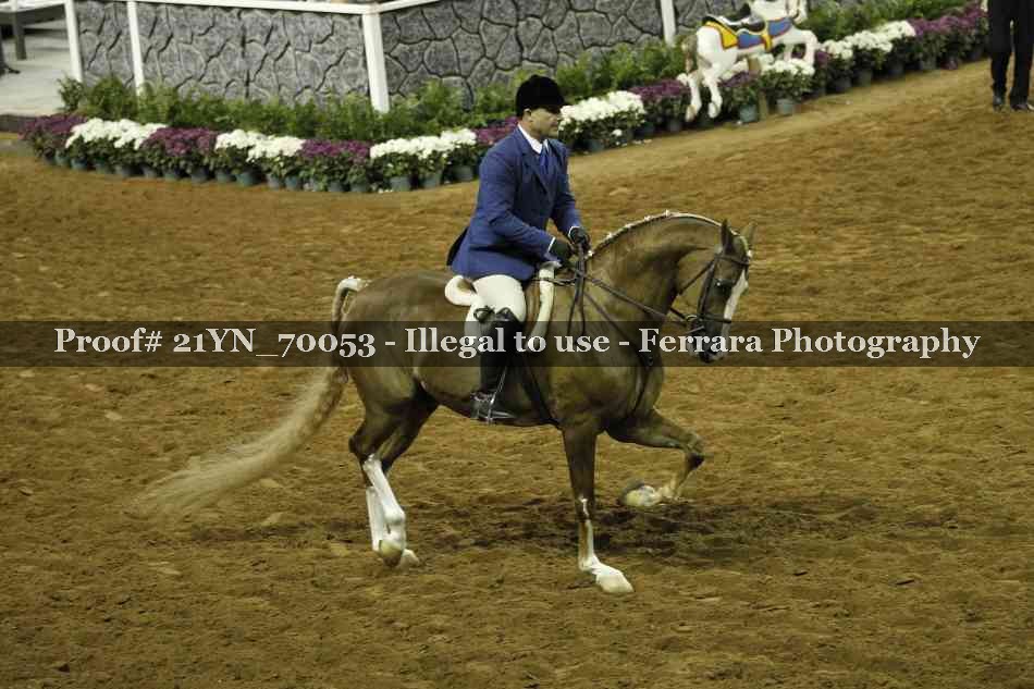 Proof 21YN_70053