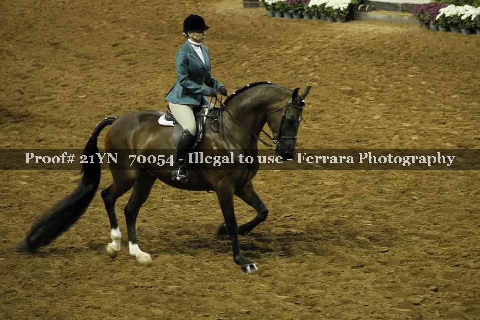 Proof 21YN_70054