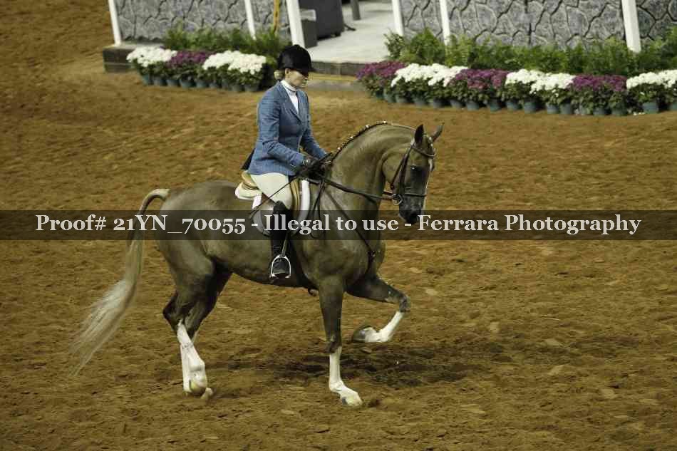 Proof 21YN_70055