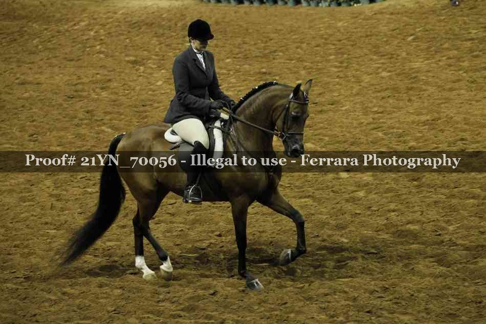 Proof 21YN_70056
