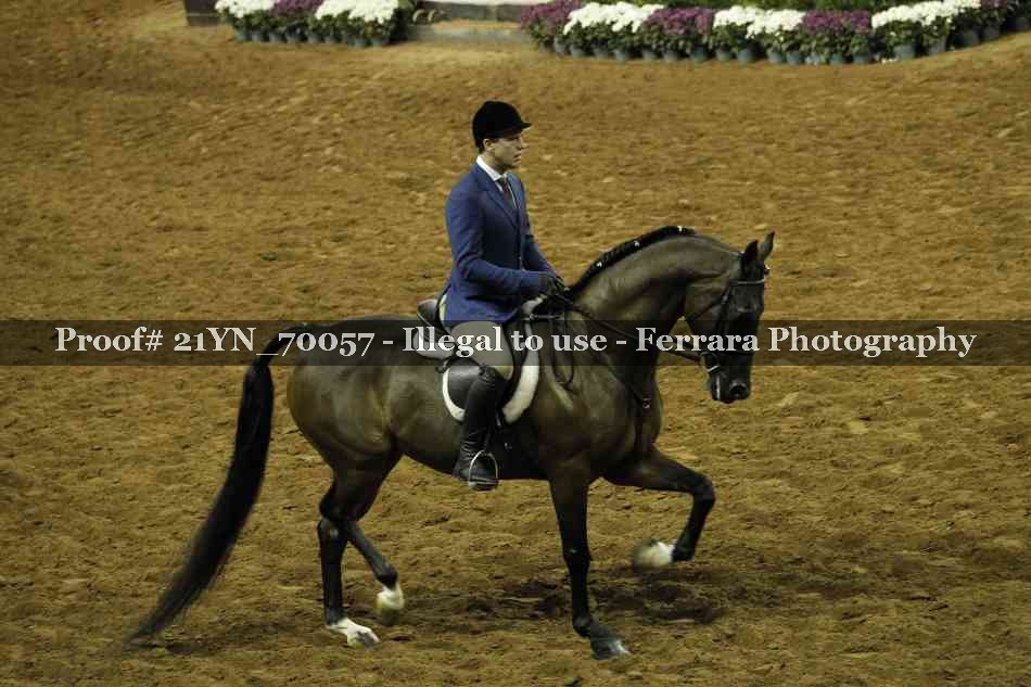 Proof 21YN_70057