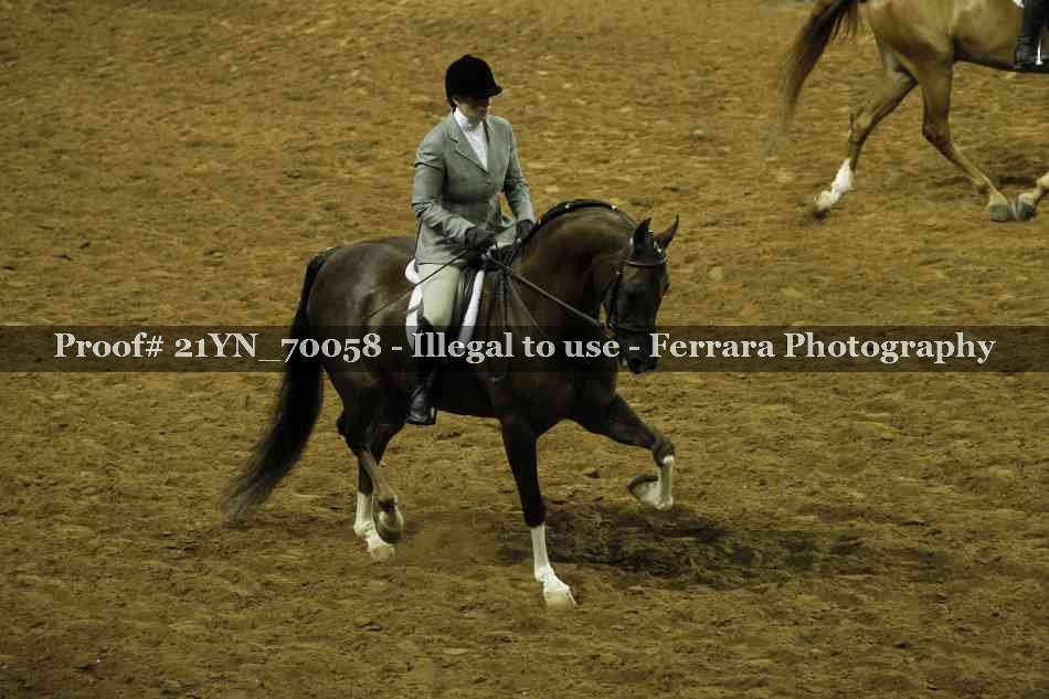 Proof 21YN_70058