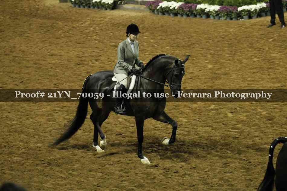 Proof 21YN_70059