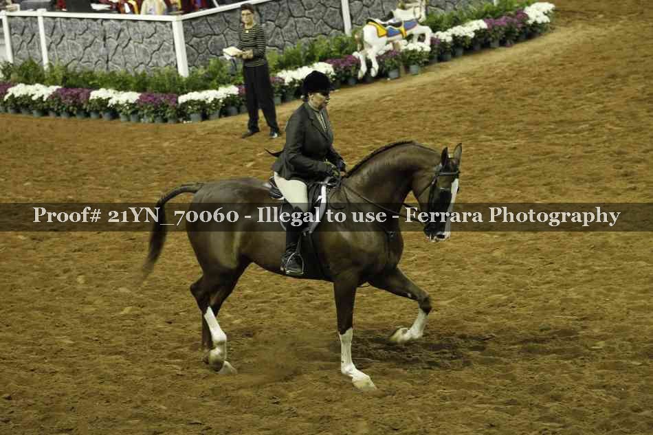 Proof 21YN_70060