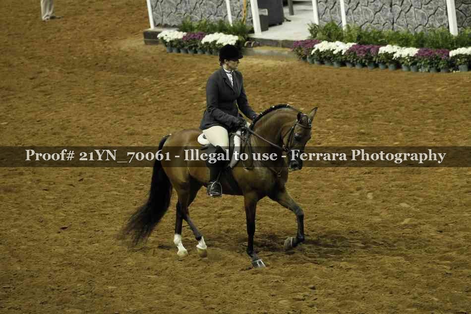 Proof 21YN_70061