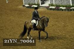 21YN_70061 proof