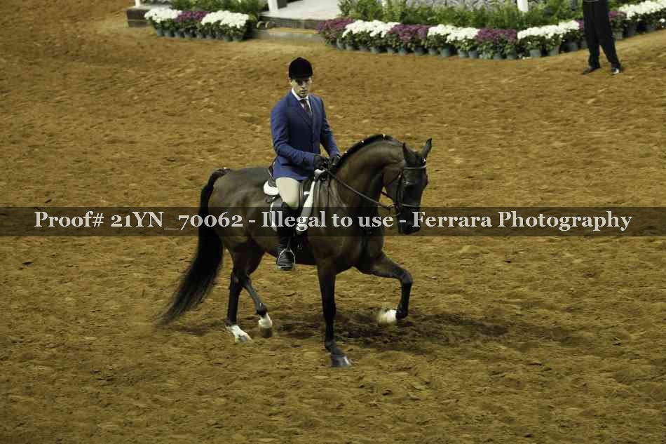 Proof 21YN_70062
