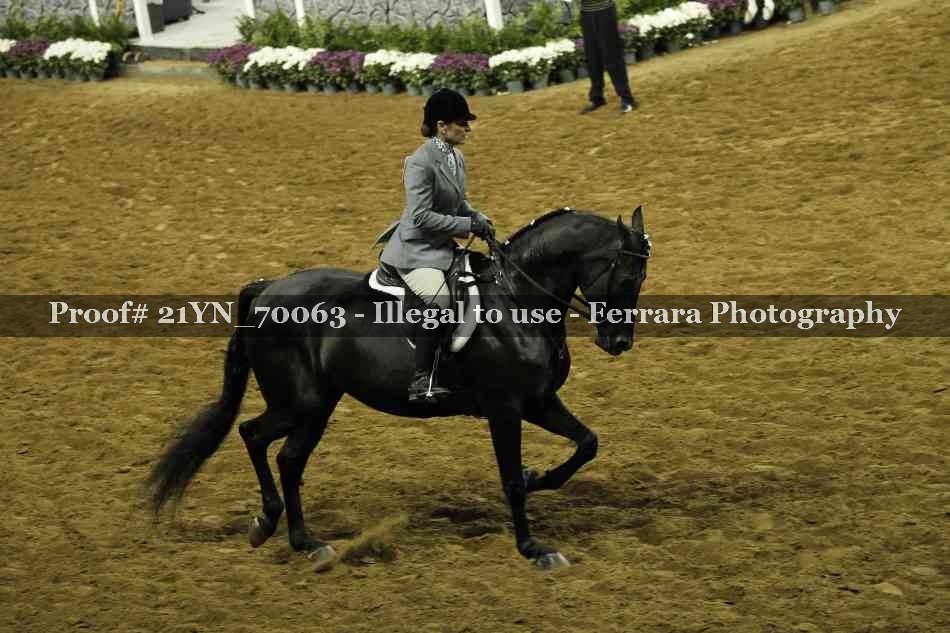 Proof 21YN_70063