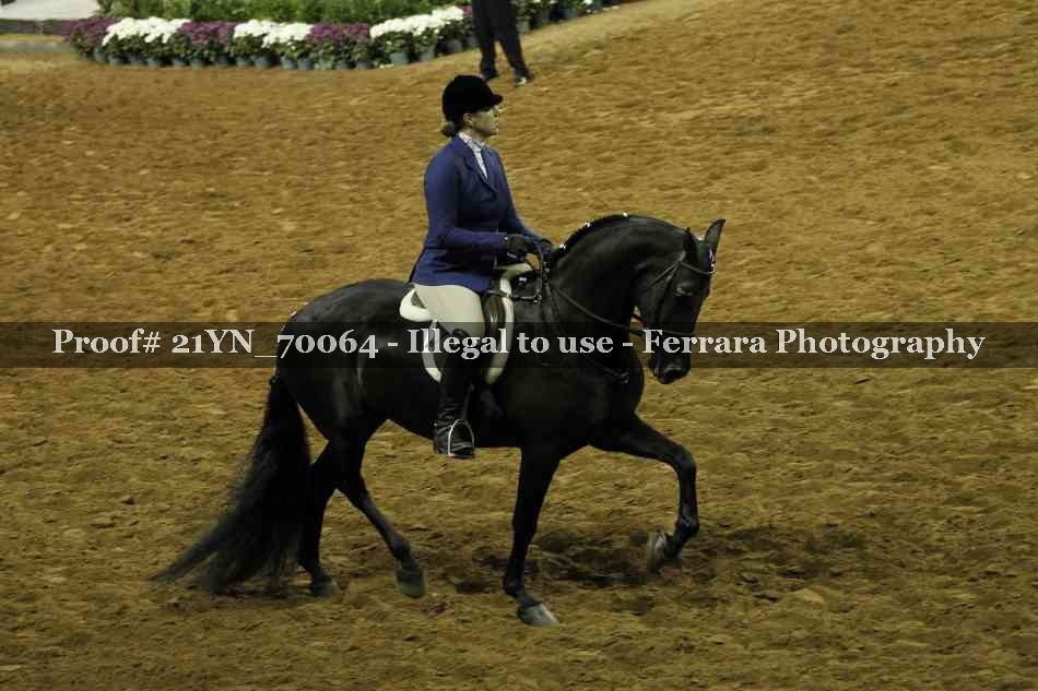 Proof 21YN_70064