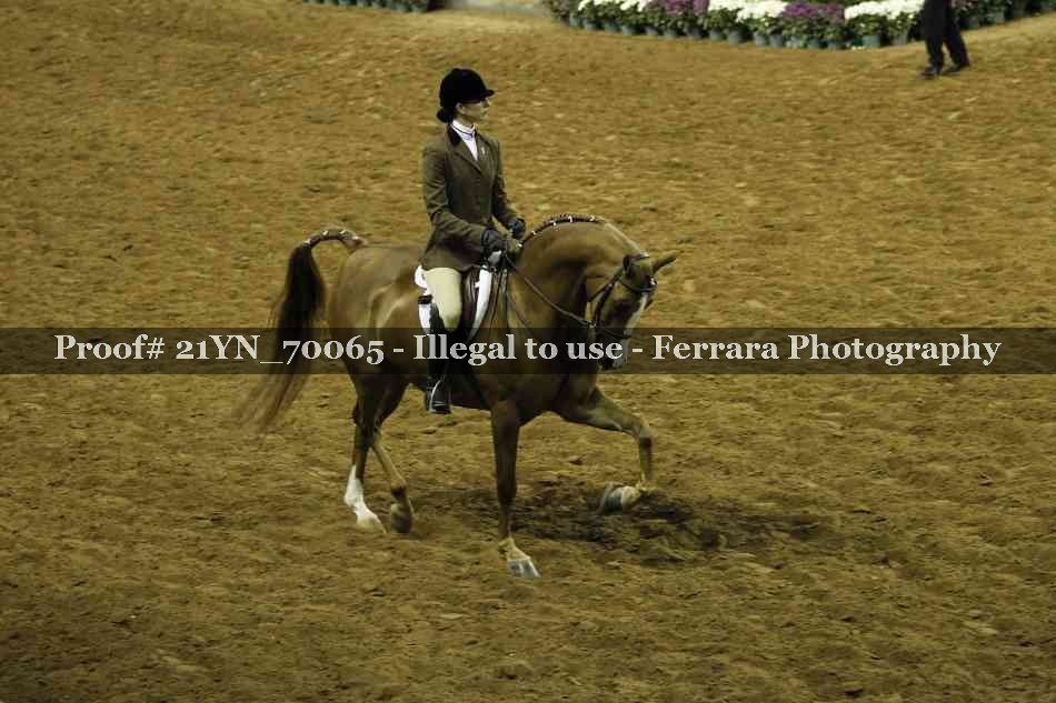 Proof 21YN_70065