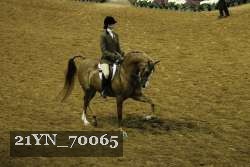 21YN_70065 proof