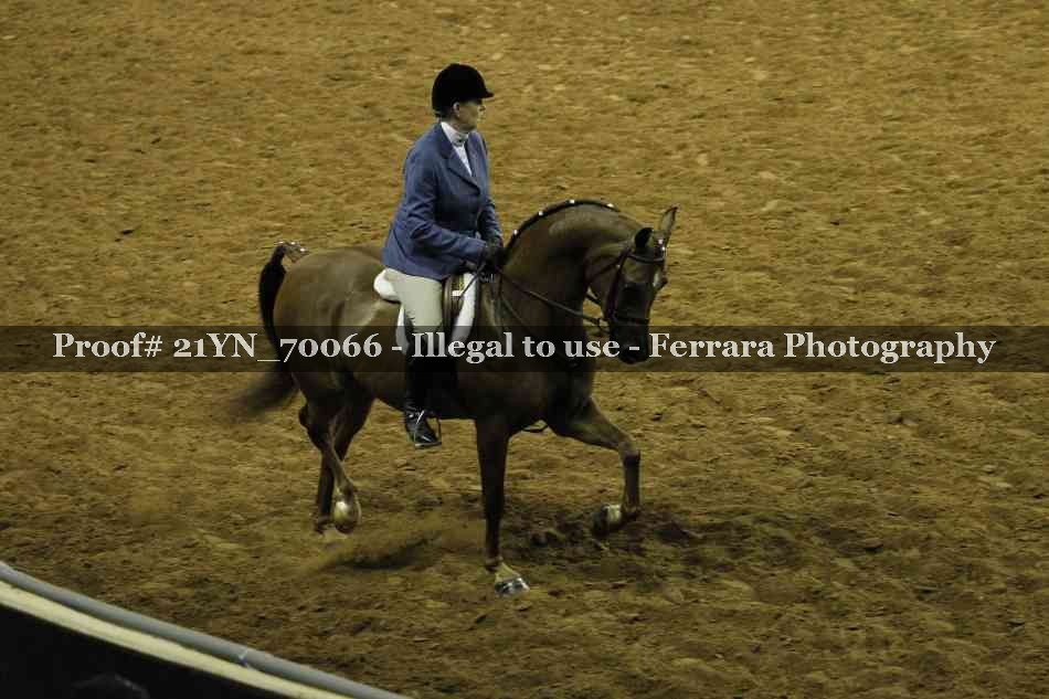 Proof 21YN_70066