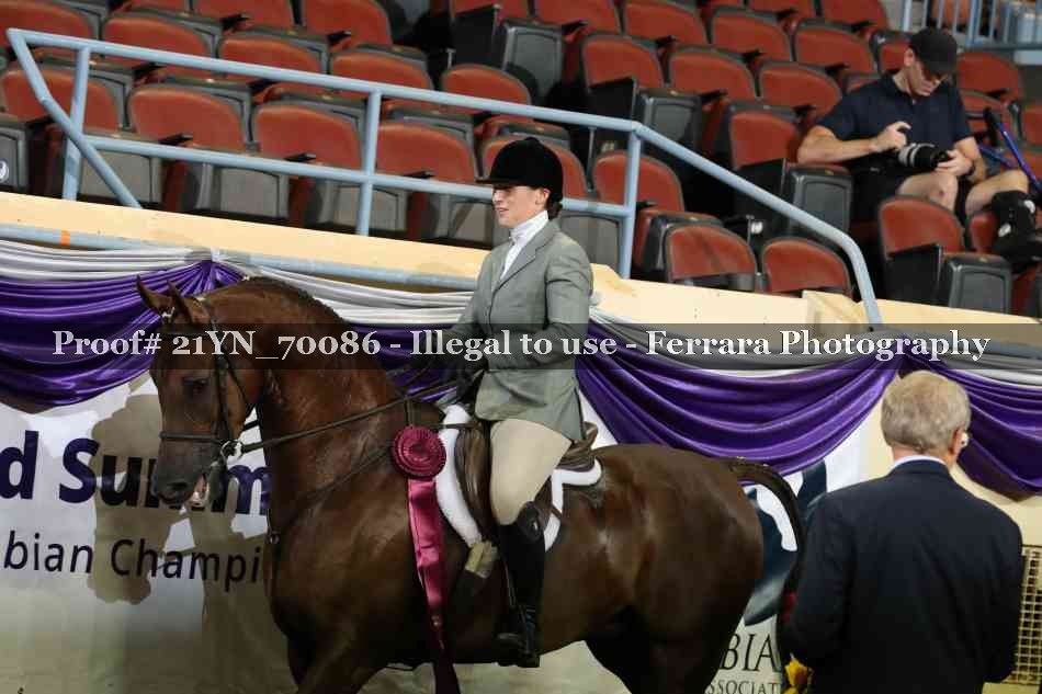Proof 21YN_70086