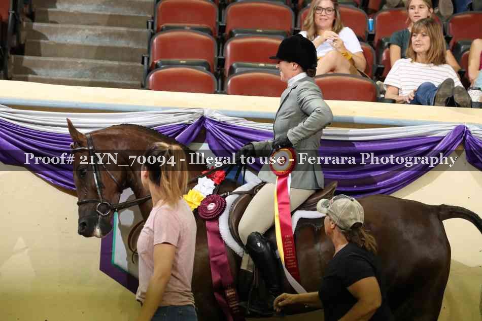 Proof 21YN_70094