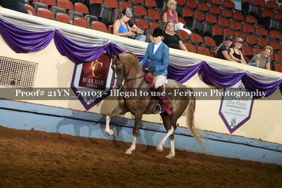 Proof 21YN_70103