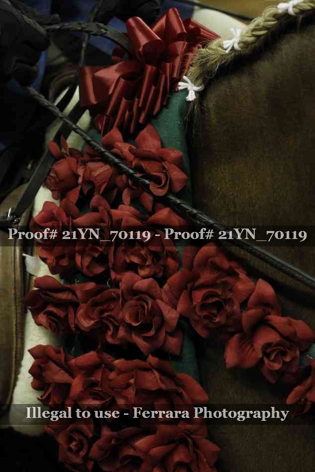 Proof 21YN_70119