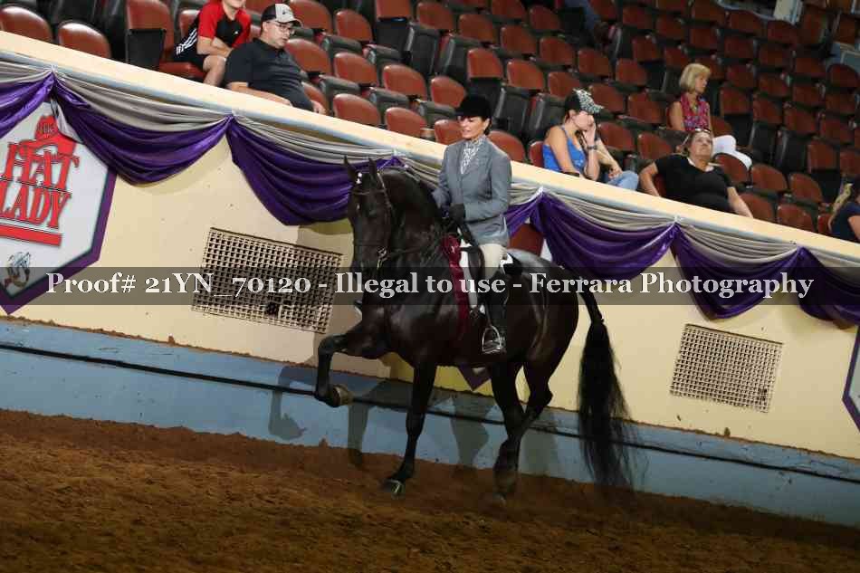 Proof 21YN_70120
