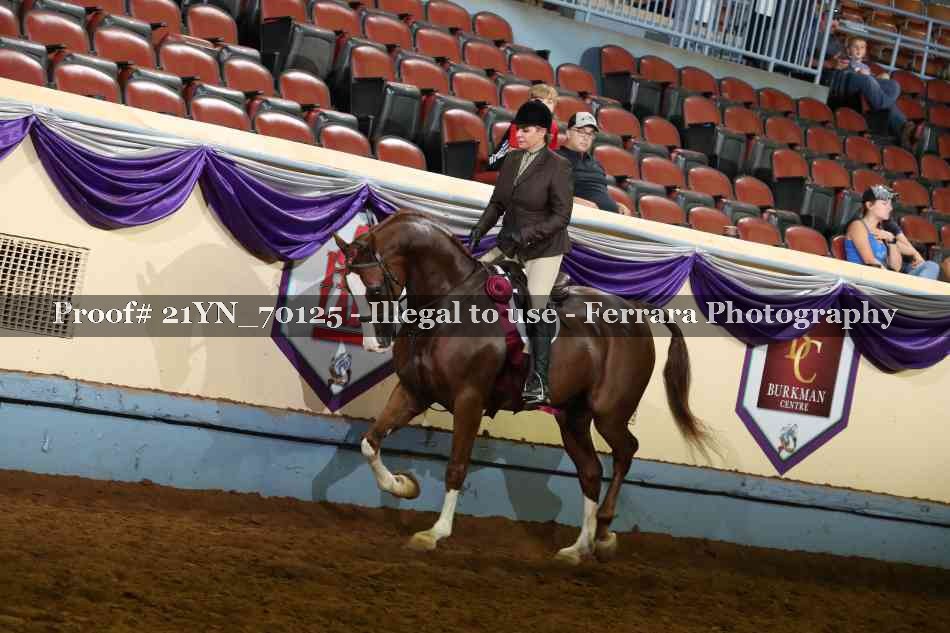 Proof 21YN_70125