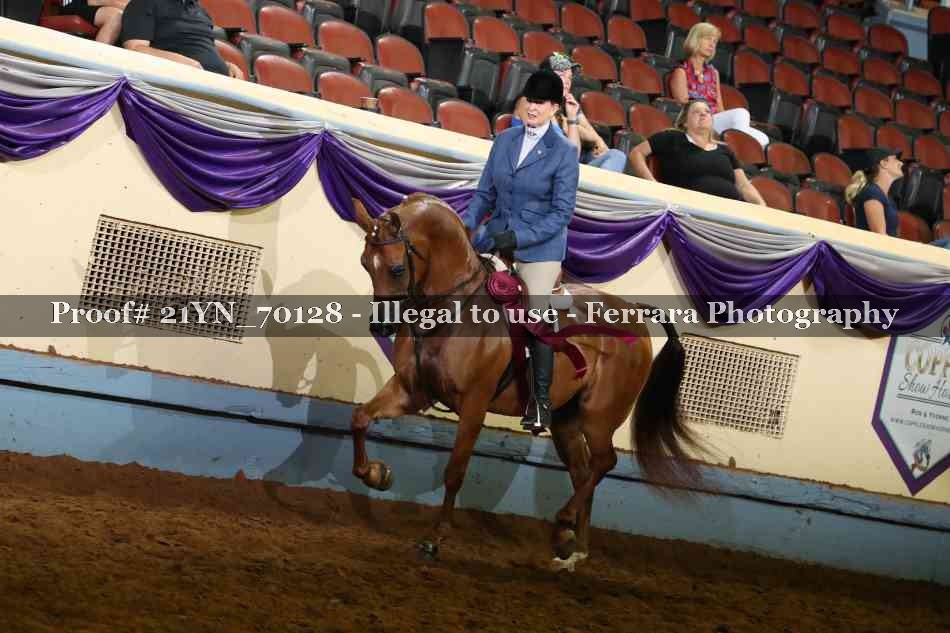 Proof 21YN_70128
