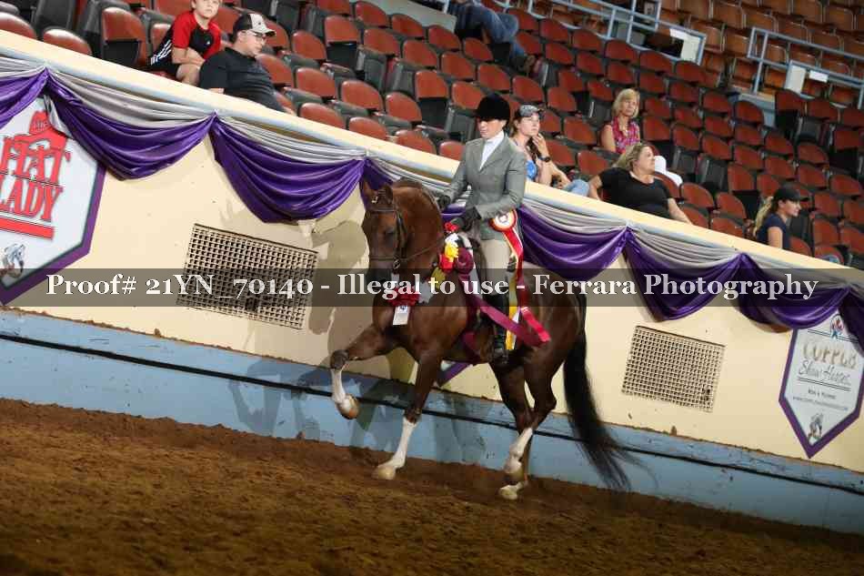 Proof 21YN_70140