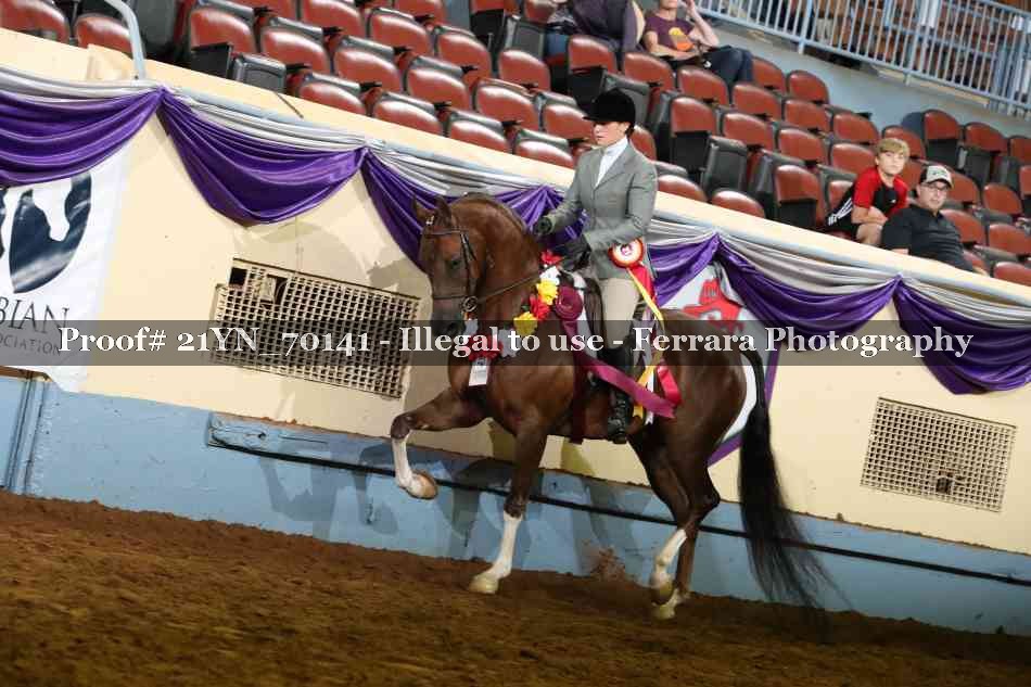 Proof 21YN_70141