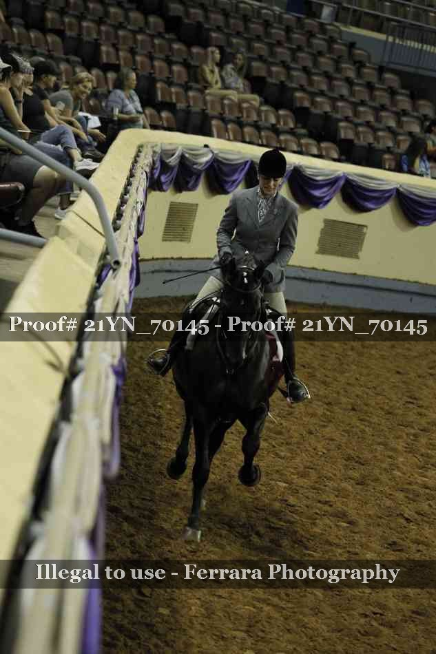 Proof 21YN_70145